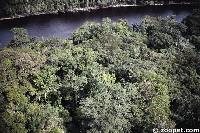 South American streams snake through the rain forests and open plains.