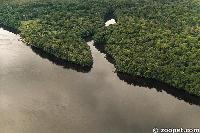 The upper Rio Negro rivulets fow through the rain forests into the main riv