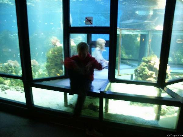 Zoopet akvarieguide