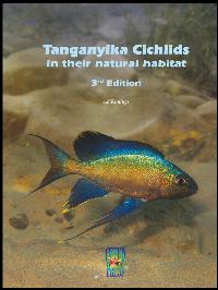 Tanganyikacichlids in their natural habitat