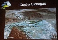 Söndag - Juan M.A. Azas/Herichthys-the northeastern Mexico cichlids