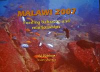 Lördag dagtid - Ad Konings/The feeding behaviour of Malawi Cichlids