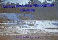 Lördag dagtid - Juan Miguel Arigas Azas/Central American Reophilus Cichlids