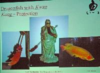Fredag - Dick Au. Asian Fascination: The Ornamental Fish Hobby