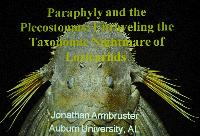 Lördag-Paraphyly and the Plecostomus - Jon Armbruster