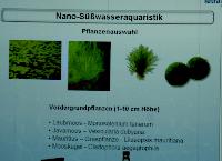 Nano - sötvattensakvaristik. Storleken är inte allt! Barbara Klingbeil