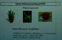 Nano - sötvattensakvaristik. Storleken är inte allt! Barbara Klingbeil