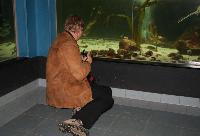 Måndag-Kiel Aquarium