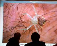 Föredrag: Bleher+Crizanto - Discovery of discus in the lakes of Ayapua and Amano