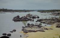 Söndag.Sabaj.Rio Xingus L-malar.