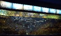 Barcelona Akvarium