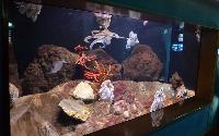 Barcelona Akvarium