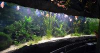 Barcelona Akvarium