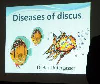 Föredrag.Lördag.Dieter Untergasser.Discus Health.