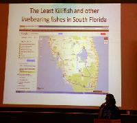Michael Kempkes. Livebearing fishes in Florida, USA.