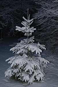 Klicka på bilden för större version

Namn: Snö i Skåne 006.jpg
Visningar: 142
Storlek: 95,7 KB
ID: 2103484