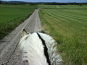 Klicka på bilden för större version

Namn: ridtur2.jpg
Visningar: 65
Storlek: 293,8 KB
ID: 2340211