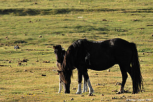 Klicka på bilden för större version

Namn: 06-7337.jpg
Visningar: 118
Storlek: 200,0 KB
ID: 2340313