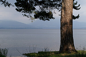 Klicka på bilden för större version

Namn: lochlomond2z.jpg
Visningar: 69
Storlek: 297,7 KB
ID: 2340391