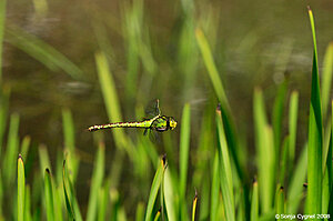 Klicka på bilden för större version

Namn: 14-9013.jpg
Visningar: 144
Storlek: 142,6 KB
ID: 2340423