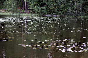 Klicka på bilden för större version

Namn: sjö.jpg
Visningar: 147
Storlek: 196,1 KB
ID: 2340473