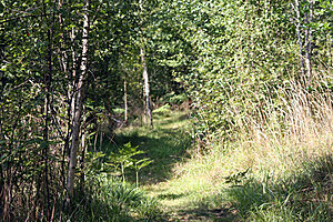 Klicka på bilden för större version

Namn: skog.jpg
Visningar: 170
Storlek: 276,2 KB
ID: 2340474