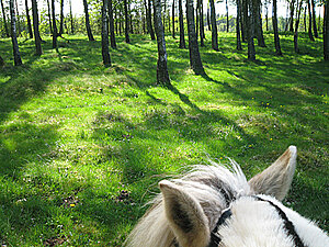 Klicka på bilden för större version

Namn: lancemaj2.jpg
Visningar: 97
Storlek: 354,4 KB
ID: 2341287