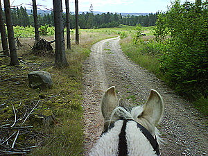 Klicka på bilden för större version

Namn: lancejuli2.jpg
Visningar: 126
Storlek: 312,8 KB
ID: 2341509