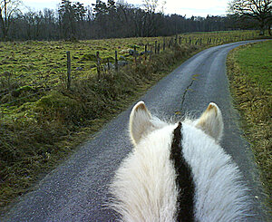 Klicka på bilden för större version

Namn: lance179.jpg
Visningar: 99
Storlek: 246,4 KB
ID: 2342256