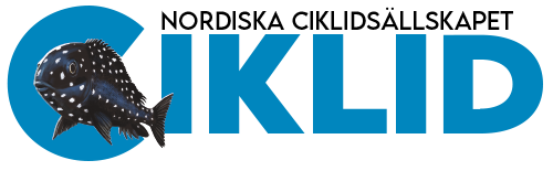 Ciklid.org logo