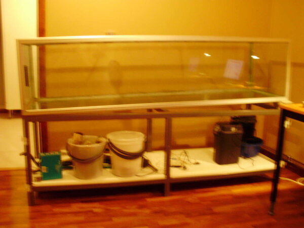 mina nya akvarie